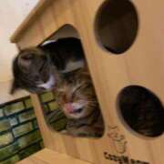 ヒメ日記 2026/02/08 20:59 投稿 はる モアグループ神栖人妻花壇