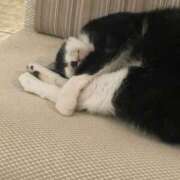 ヒメ日記 2026/02/09 14:29 投稿 はる モアグループ神栖人妻花壇