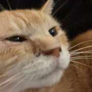 ヒメ日記 2026/02/10 01:03 投稿 はる モアグループ神栖人妻花壇