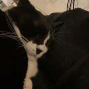 ヒメ日記 2026/02/11 12:22 投稿 はる モアグループ神栖人妻花壇