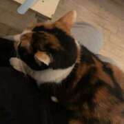 ヒメ日記 2026/02/18 16:44 投稿 はる モアグループ神栖人妻花壇