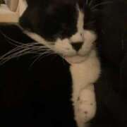 ヒメ日記 2026/03/02 16:35 投稿 はる モアグループ神栖人妻花壇