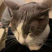 ヒメ日記 2026/03/03 00:41 投稿 はる モアグループ神栖人妻花壇