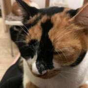 ヒメ日記 2026/03/26 16:34 投稿 はる モアグループ神栖人妻花壇