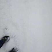 ヒメ日記 2026/02/08 12:05 投稿 月城（つきしろ） 熟女の風俗最終章 大宮店