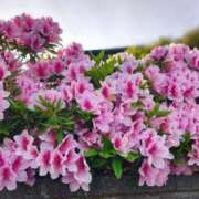 ヒメ日記 2026/04/29 12:20 投稿 月城（つきしろ） 熟女の風俗最終章 大宮店