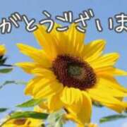 ヒメ日記 2026/08/18 13:12 投稿 月城（つきしろ） 熟女の風俗最終章 大宮店
