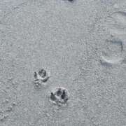 ヒメ日記 2026/03/26 14:16 投稿 みなつ 素人ぽちゃカワ学園