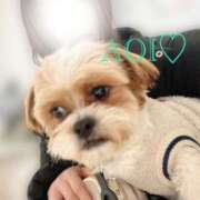 ヒメ日記 2026/02/05 12:06 投稿 新人 あおい DIVA-ディーバ-【DIVAグループ】