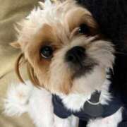 ヒメ日記 2026/02/11 09:30 投稿 新人 あおい DIVA-ディーバ-【DIVAグループ】