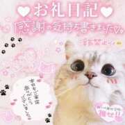 ヒメ日記 2025/09/29 18:11 投稿 しゅな 東京リップ 池袋店