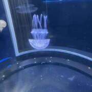 ヒメ日記 2025/10/05 11:44 投稿 あおば 神田ハンドメイド