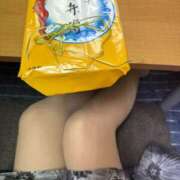 いちか そんなはずしゃ🥺 横浜ミセスアロマ（ユメオト）