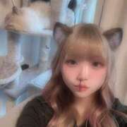 ヒメ日記 2025/11/23 07:42 投稿 日高　さき スタイリッシュ秘書