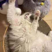 日高　さき またね🫶🏻💘 お礼書いてみた💌 スタイリッシュ秘書