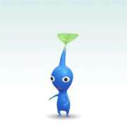 ヒメ日記 2025/11/30 11:11 投稿 ハナ ソープランド マックス