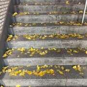 ヒメ日記 2025/12/12 11:18 投稿 ハナ ソープランド マックス