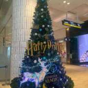 ヒメ日記 2025/12/23 10:55 投稿 ハナ ソープランド マックス