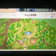 ヒメ日記 2025/12/26 12:32 投稿 ハナ ソープランド マックス