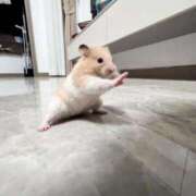 ヒメ日記 2026/01/02 12:27 投稿 ハナ ソープランド マックス