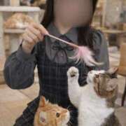 ヒメ日記 2026/01/16 11:49 投稿 ハナ ソープランド マックス