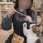 ヒメ日記 2026/01/16 11:58 投稿 ハナ ソープランド マックス