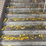 ヒメ日記 2026/01/17 06:58 投稿 ハナ ソープランド マックス