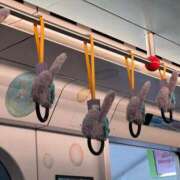 ヒメ日記 2026/03/02 11:14 投稿 ハナ ソープランド マックス