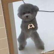 ヒメ日記 2026/03/06 10:25 投稿 ハナ ソープランド マックス