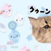 ヒメ日記 2026/03/18 06:51 投稿 ハナ ソープランド マックス