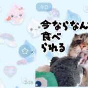 ヒメ日記 2026/03/21 11:05 投稿 ハナ ソープランド マックス