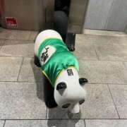 ヒメ日記 2026/04/12 11:51 投稿 ハナ ソープランド マックス