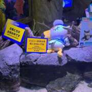 鷹宮ことり 本日10:00~15:00出勤です💚 クラブ　ブレンダ尼崎店