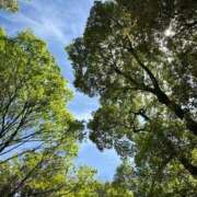 ヒメ日記 2026/04/13 11:46 投稿 鷹宮ことり クラブ　ブレンダ尼崎店