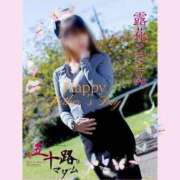 ヒメ日記 2025/11/02 23:12 投稿 露花ここみ 五十路マダム静岡店（カサブランカG）