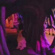 ヒメ日記 2025/09/30 12:19 投稿 かい【スレンダー黒髪清楚系】 Aris（アリス）☆超恋人空間☆沖縄最大級！！