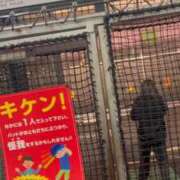 ヒメ日記 2025/10/01 14:22 投稿 かい【スレンダー黒髪清楚系】 Aris（アリス）☆超恋人空間☆沖縄最大級！！