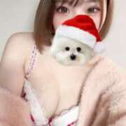 ヒメ日記 2025/12/25 12:16 投稿 カリナ ピカソ