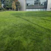 ヒメ日記 2025/11/04 13:20 投稿 優奈 極楽園