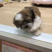 ヒメ日記 2025/11/12 12:02 投稿 優奈 極楽園