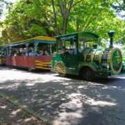 優奈 あけましておめでとうございます 極楽園