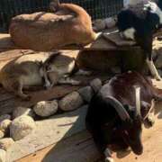 ☆あん☆ あいてるよー？？ Kiseki