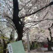 ヒメ日記 2026/03/30 16:14 投稿 るな アムールクリスタル