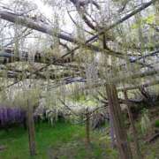 みつは 天国確定！？凄腕マ♡ト ごめんなさい！ 今ドキ マットMAX