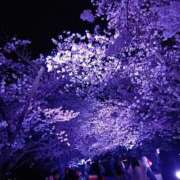 みつは 天国確定！？凄腕マ♡ト お花見🌸 今ドキ マットMAX