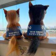 ヒメ日記 2025/12/13 16:35 投稿 カレンチャン/AV痴女 フェチM性感　極嬢　ageHa