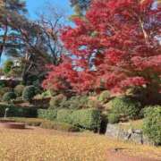 五十嵐(いがらし) 昨日はありがとう！！ 人妻出逢い会 百合の園 池袋店