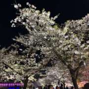 ヒメ日記 2026/04/23 20:37 投稿 ピンク スピード日本橋店