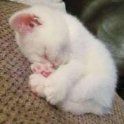 ヒメ日記 2026/01/07 18:38 投稿 ミオ ソープランドMAX‐マックス- 浅草店