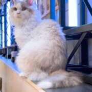 ヒメ日記 2026/02/18 23:34 投稿 ミオ ソープランドMAX‐マックス- 浅草店